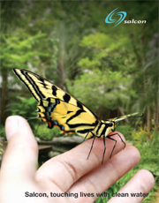 Annual Report 2011